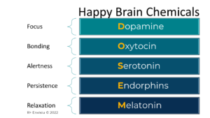 Happy Brain Chemicals Graphic